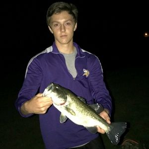 Meet your Posher, Phil